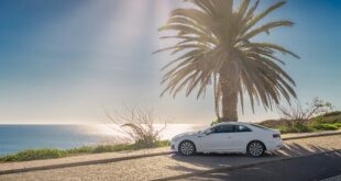 Sommer. Ein Auto im Schatten einer Palme geparkt.
