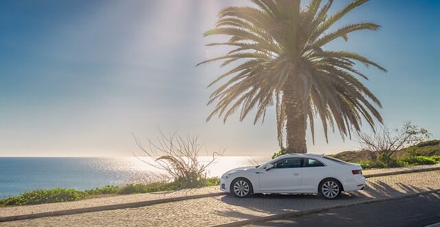 Sommer. Ein Auto im Schatten einer Palme geparkt.
