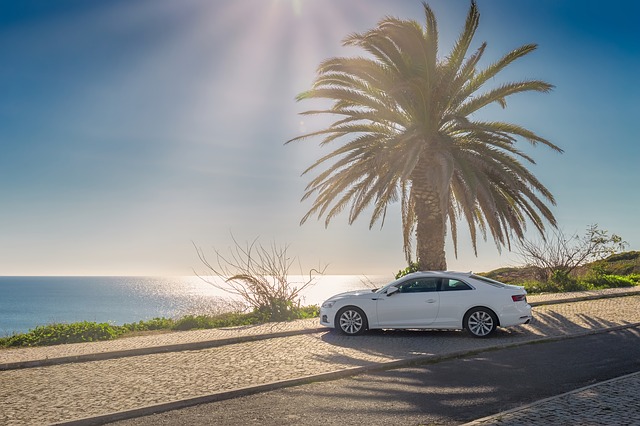 Sommer. Ein Auto im Schatten einer Palme geparkt.