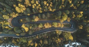 Luftaufnahme aus einem Auto auf der Fahrbahn in der Natur.
